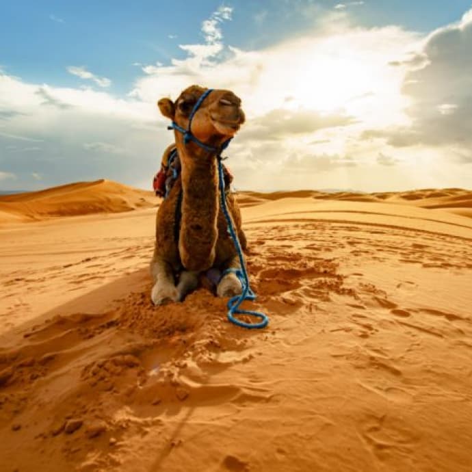 3 Days Marrakech to Merzouga Luxury Desert Adventure