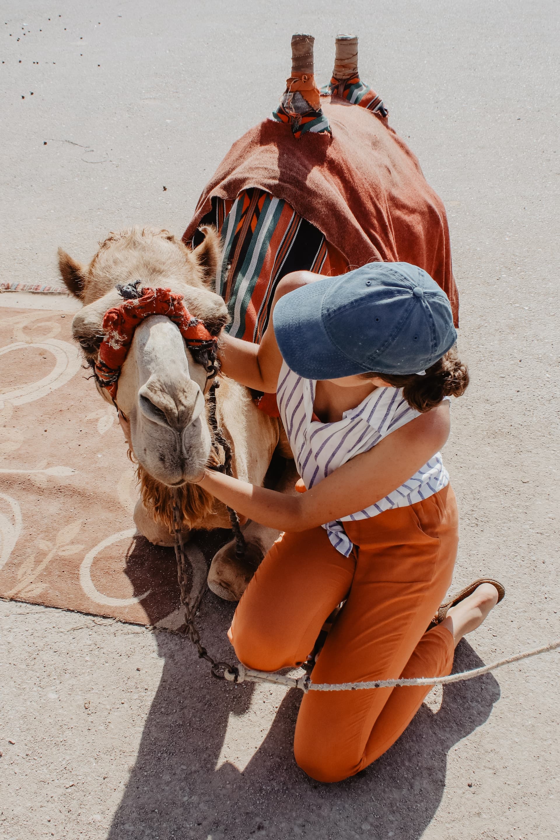 Marrakech Marvels: Private City & Garden Luxury Experience